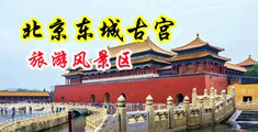 丝袜插插中国北京-东城古宫旅游风景区